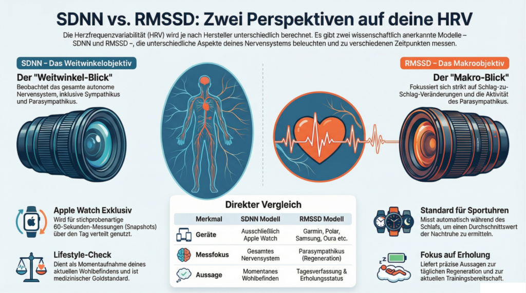 Infografik Herzfrequenzvariabilität SDNN vs RMSSD